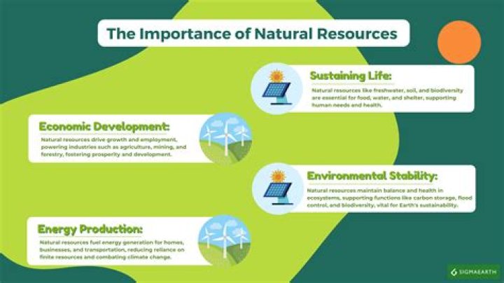 Are natural resources a limit to economic growth?