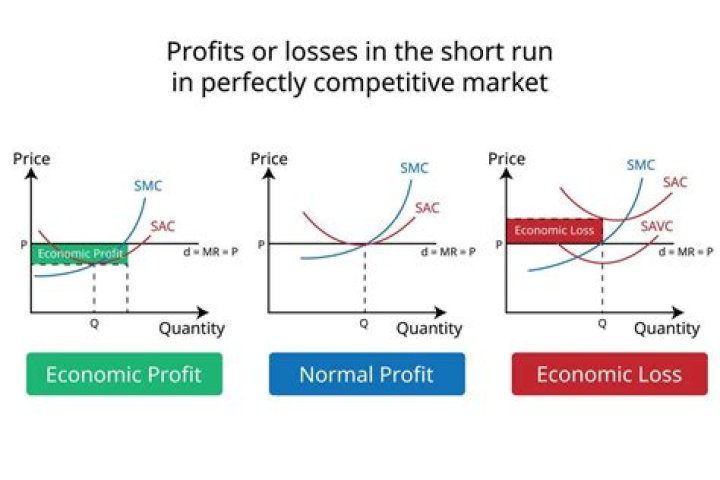 Can a firm experience economic losses while earning accounting profits?