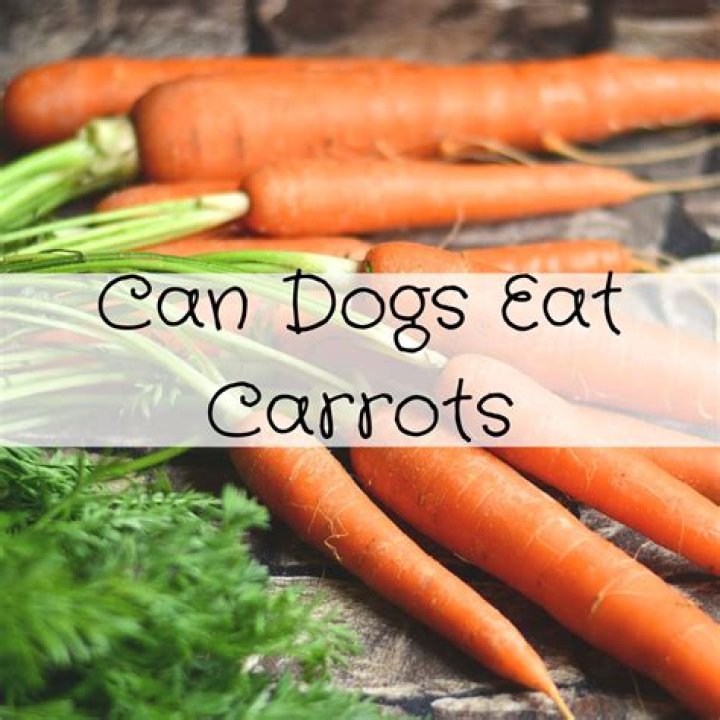 Can dogs eat brown carrots?