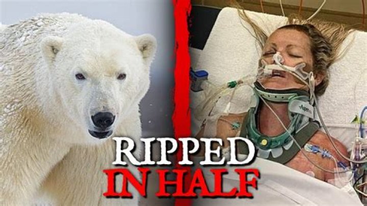 Has a polar bear killed anyone?
