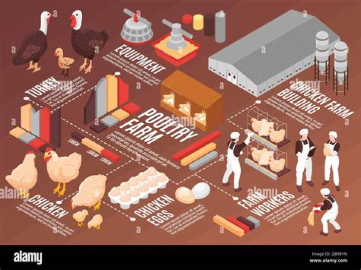 How big is the poultry industry?