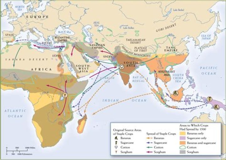 How did economy play a role in the early spread of Islam?