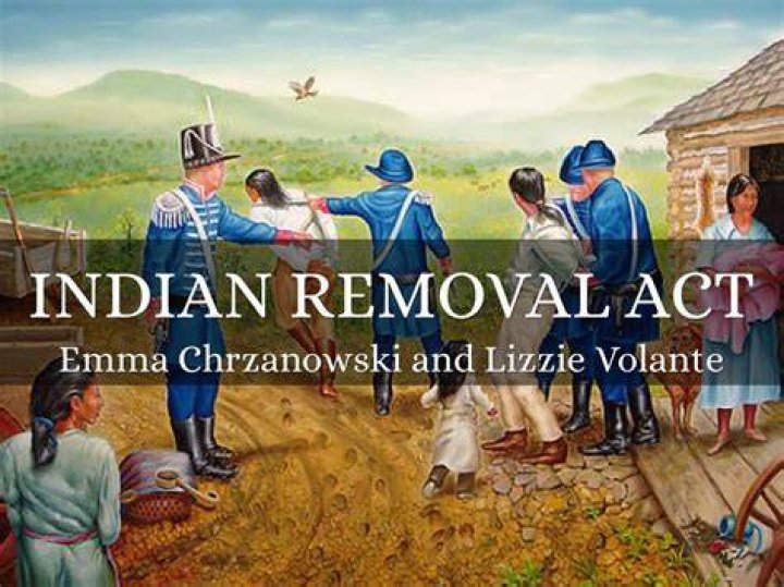 How did the Indian Removal Act benefit America?