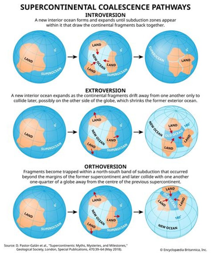 How did the movement of continents influence evolution?