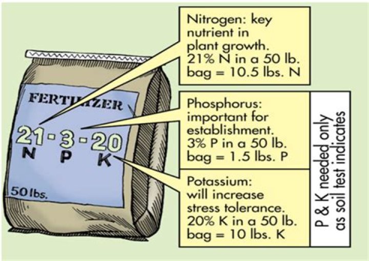How do fertilizers affect human health?