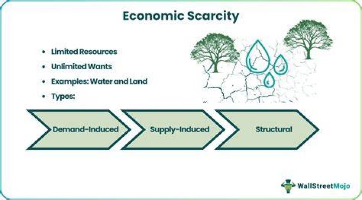 How do scarce resources impact economic decisions?
