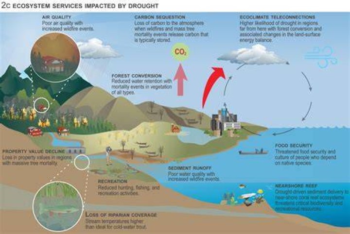 How does extreme weather affect humans?