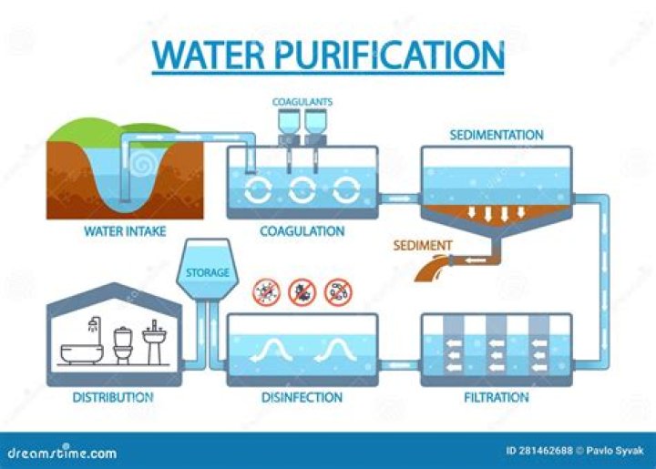 How does water purification affect the economy?
