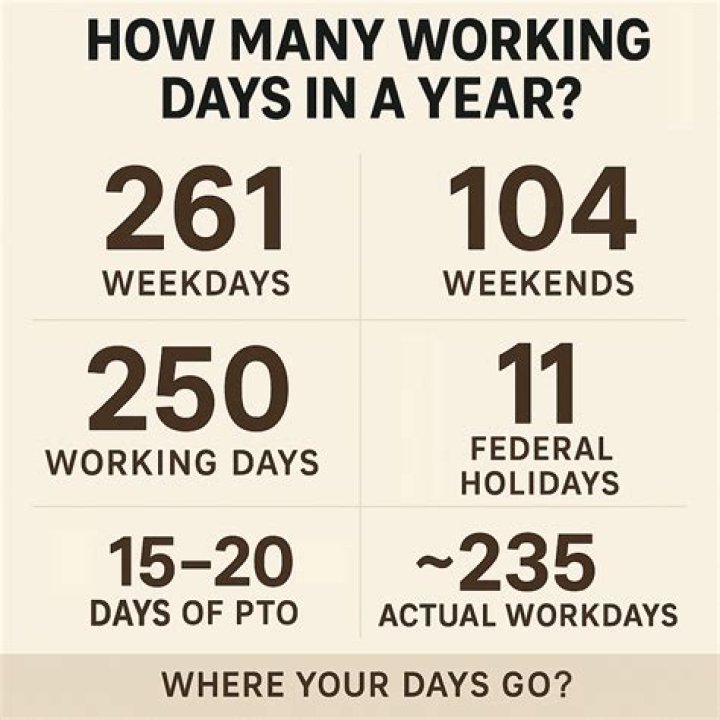 How many work days were in a year in 2009?