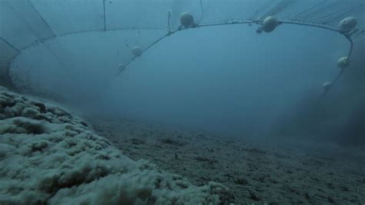 Is fishing under agriculture?