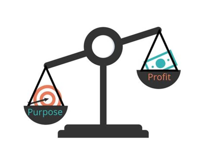 Is profit the only purpose of business?