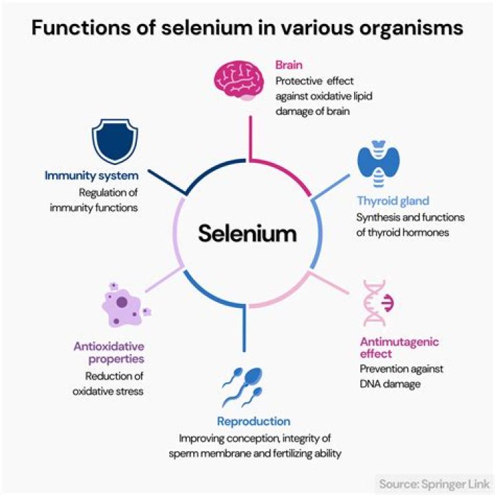 Is Selenium dependent on versions of browsers?
