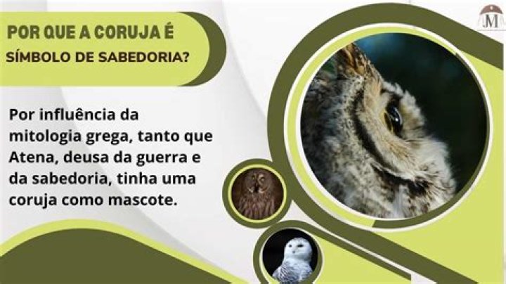 Por que a coruja e simbolo de sabedoria?