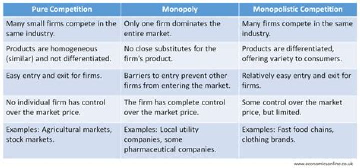What are the characteristics of a pure monopoly?