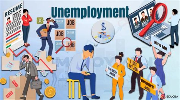 What are the economic consequences of unemployment?