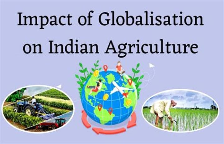 What are the effects of Globalisation on Indian agriculture?