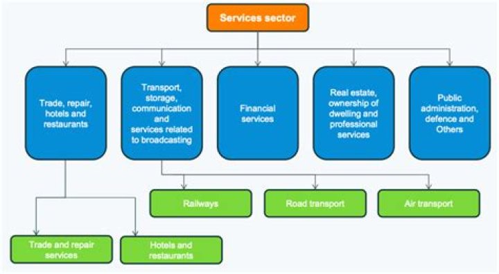 What are the reasons for the growth of service sector?