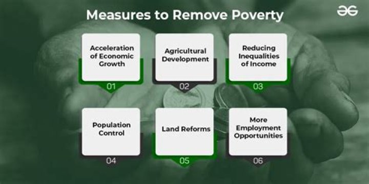 What are the steps taken by government to remove poverty?