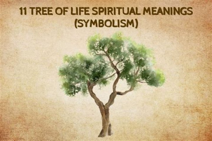 What does a tree symbolize spiritually?