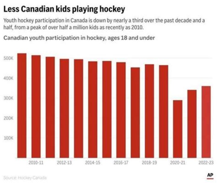 What does AAA mean in youth hockey?