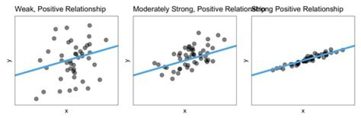 What does moderately dysplastic mean?