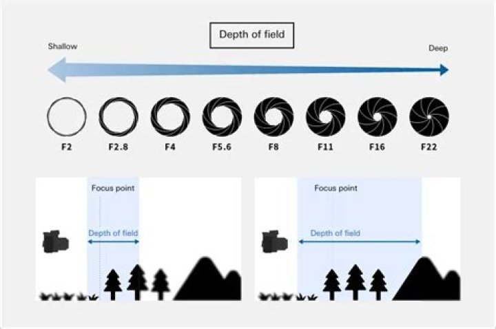 What is the depth of field in photography?