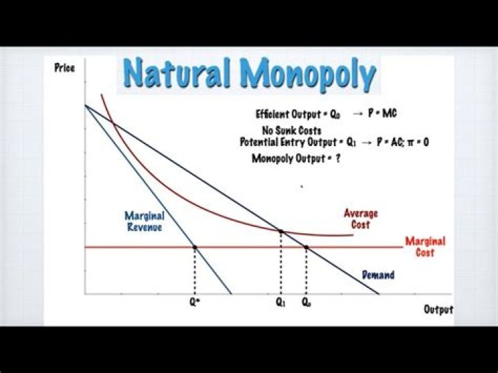 What is the difference between a monopoly and a natural monopoly?