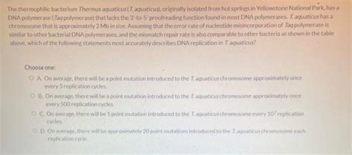 What is the error rate of DNA?