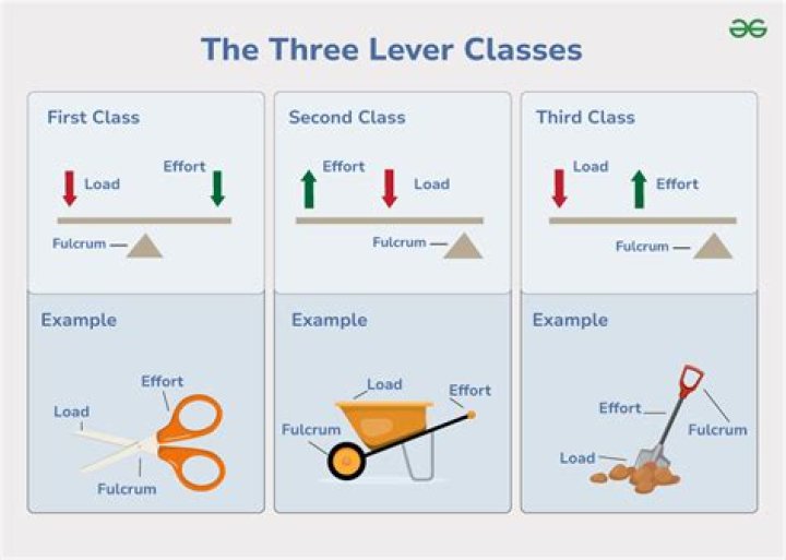 What is the example of class II lever?