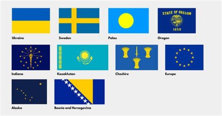 What is the flag of the Ukrainian National Union (OUN)?