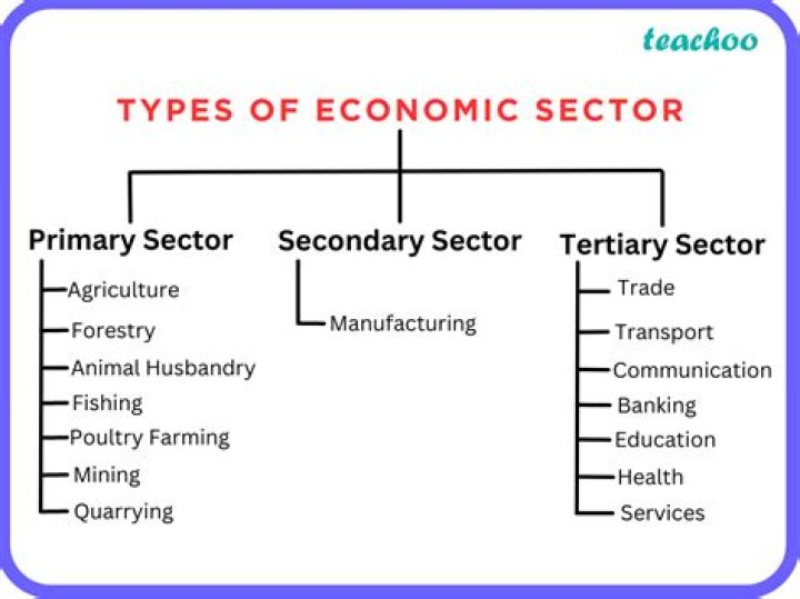 What is the primary sector of an economy?