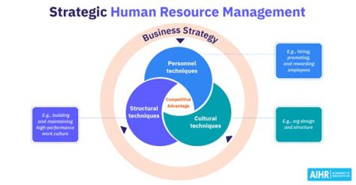 What is the relationship between economics and human resource management?
