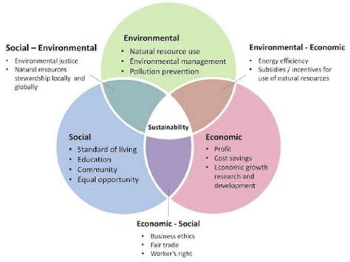 What is the role of environment for economic development?