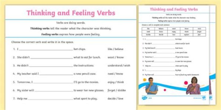 What is thinking and feeling verbs?