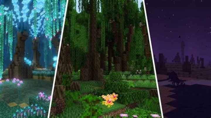 What Minecraft mod adds the most biomes?
