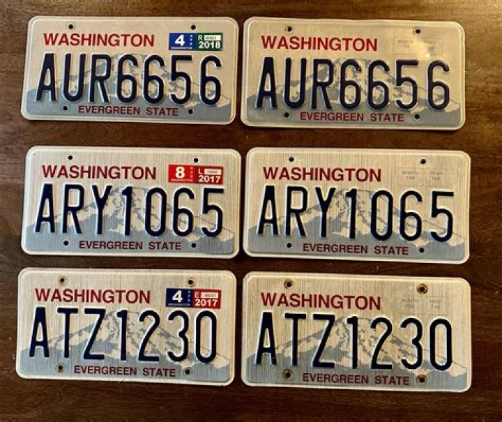 What mountains are on Washington license plates?