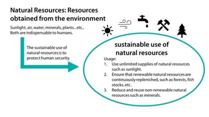 What natural resources make shoes?