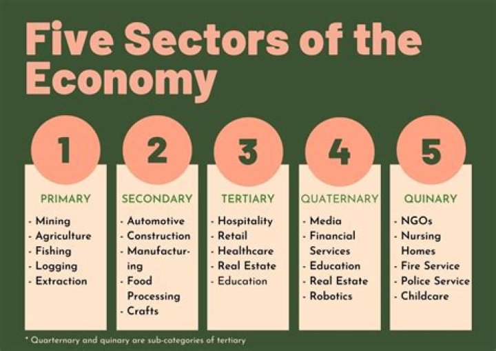 What percentage of the US works in the primary sector?