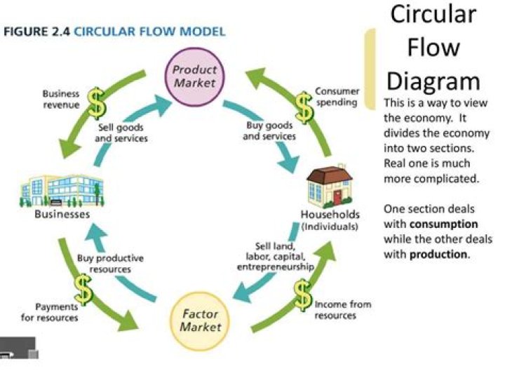 What role do people play in the circular flow model?