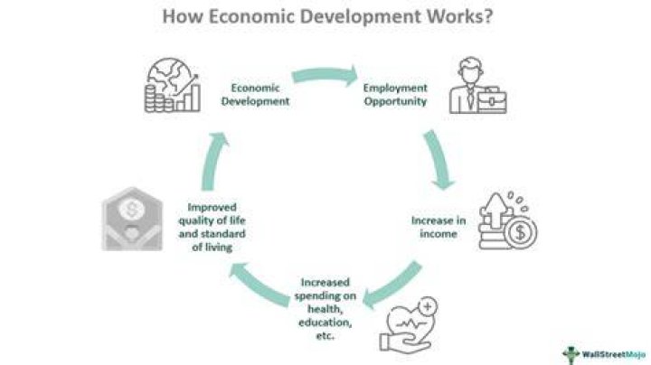 What type of diffusion is economic development through international trade?