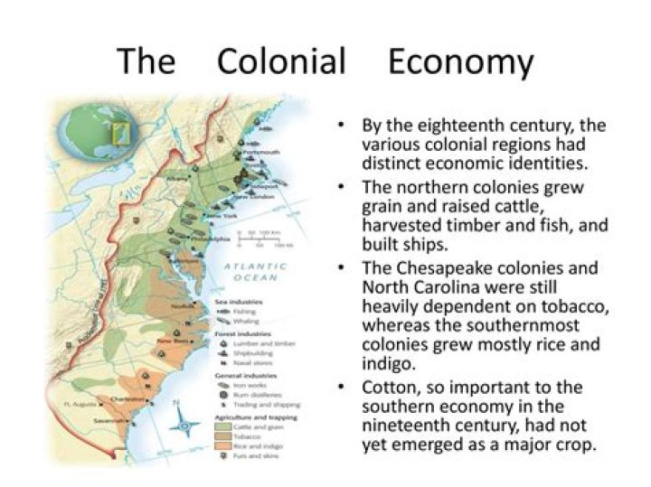What type of economic system was used in Colonial America?