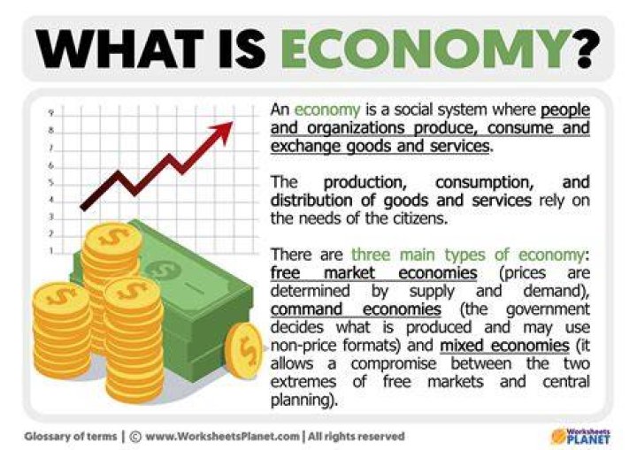 What type of economy is a consumer and a producer?
