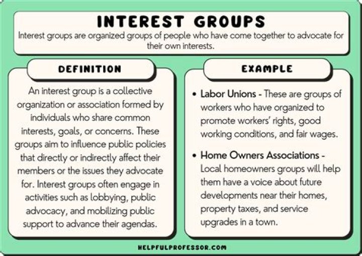 What type of interest group is the AFL CIO?