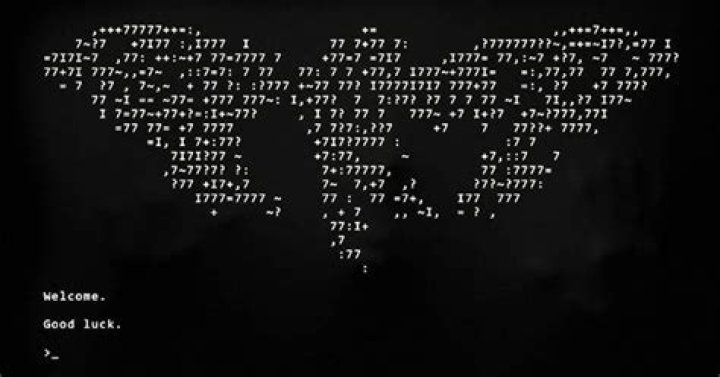 What was the first cicada 3301 puzzle?