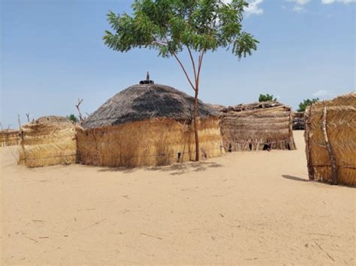 Who are the shuwa Arab in Nigeria?
