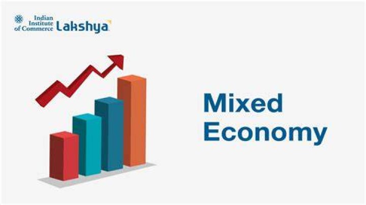 Who owns the resources in a mixed economy?