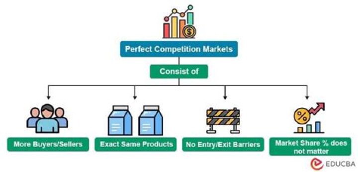 Why do economists study perfect competition?
