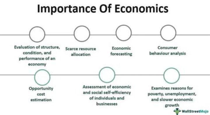 Why is economics important to business?